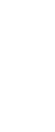 shap image